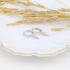 S925 Sterling Silver Inlaid Zircon Eardrop Earring Hip Hop Style