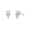 S925 Sterling Silver Inlaid Zircon Geometric Elegant Women's Earrings