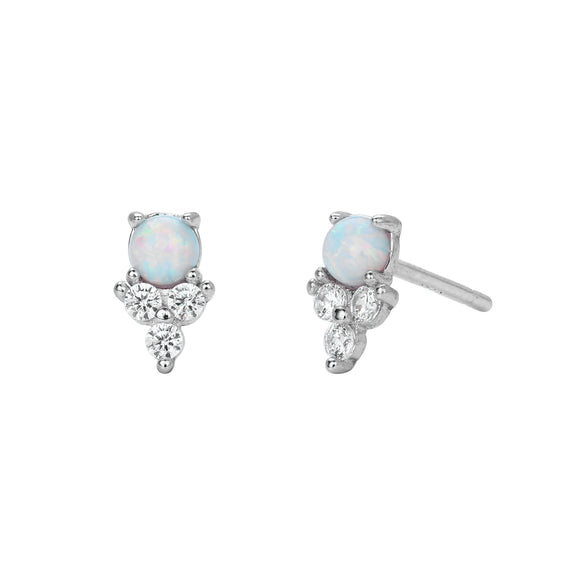 S925 Sterling Silver Inlaid Zircon Geometric Elegant Women's Earrings