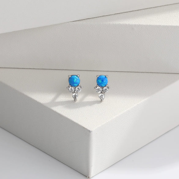 S925 Sterling Silver Inlaid Zircon Geometric Elegant Women's Earrings