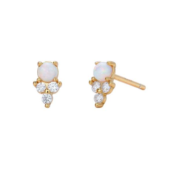 S925 Sterling Silver Inlaid Zircon Geometric Elegant Women's Earrings