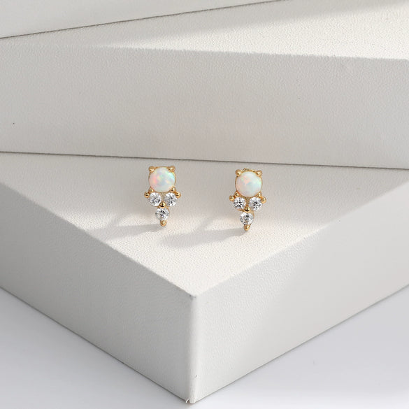 S925 Sterling Silver Inlaid Zircon Geometric Elegant Women's Earrings
