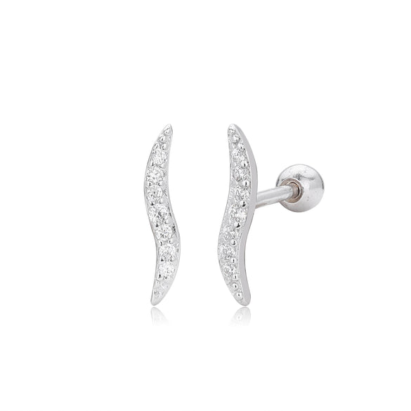 S925 Sterling Silver Leaf Shaped Electroplated Women's Fashionable Piercing Earrings With Zircon