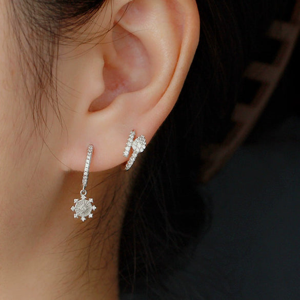 S925 Sterling Silver Microinlaid Zircon Snake Earrings Animal Zodiac Design