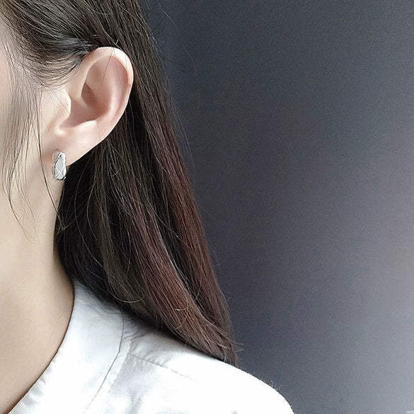 S925 Sterling Silver Plaid Earrings For Women In Simple Cold Style
