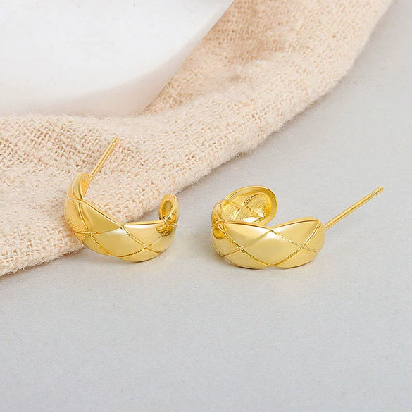 S925 Sterling Silver Plaid Earrings For Women In Simple Cold Style