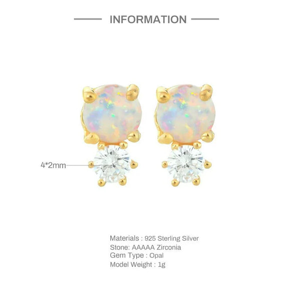 S925 Sterling Silver Round Geometric Earrings Set With Precious Stones Real Gold Plated