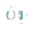 S925 Sterling Silver Round Geometry Light Luxury Zircon Earrings Electroplated