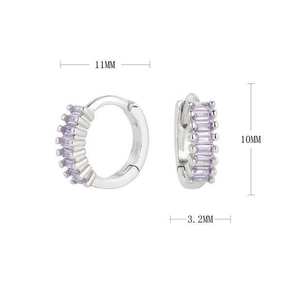 S925 Sterling Silver Round Geometry Light Luxury Zircon Earrings Electroplated