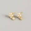 S925 Sterling Silver Snowflake And Flower Patterned Earrings With Electroplating Treatment For Women