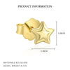 S925 Sterling Silver Star Zirconium Women's Light Luxury Earrings