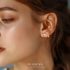 S925 Sterling Silver Star Zirconium Women's Light Luxury Earrings