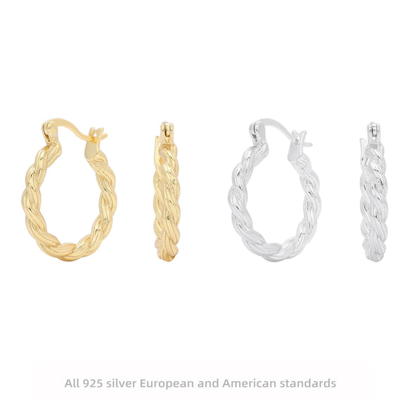 S925 Sterling Silver Twisted Wave Pattern Inlaid Zircon Women's Earrings