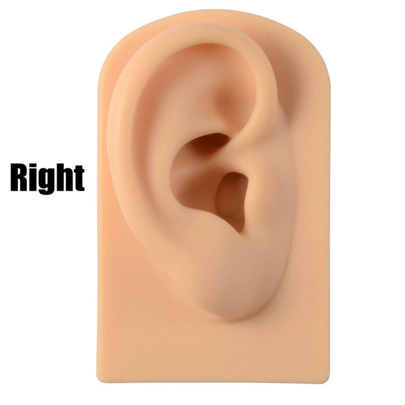Silicone Display Earrings Semicircular Rectangular Fashion Geometric Ear Pattern