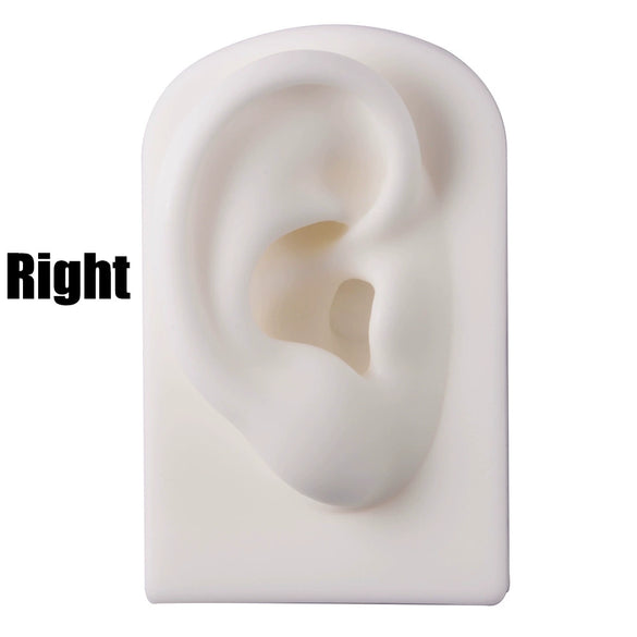Silicone Display Earrings Semicircular Rectangular Fashion Geometric Ear Pattern