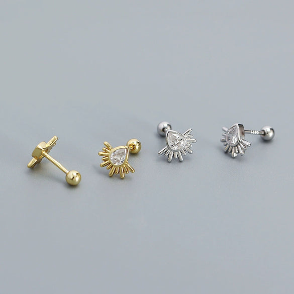 Silver Drop Shape Electroplated Zircon Women's Earrings