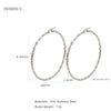 Silver Needle Light Circle Earrings Stainless Steel Large Circle Black Twist Electroplating For Women
