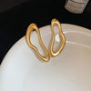 Silver Needle Pattern Oval Tassel Metal Earrings For Women With Electroplating Design