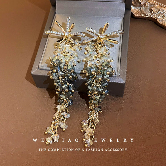 Silver Needle Zircon Flower Crystal Long Tassel Women's Earrings