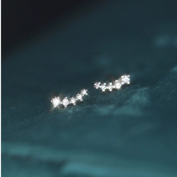 Silver Women's Constellation Pattern Diamond Earrings