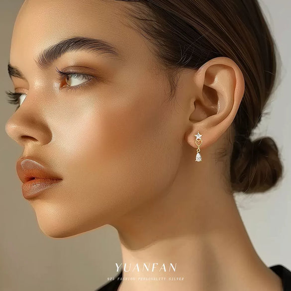 Silver Zircon Starshaped Light Luxury Women's Earrings