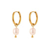 Simple Light Luxury Fashion Women's Earrings Stainless Steel 18K Gold Plated With Freshwater Pearl Geometric Design