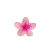 Simple Style Flower Plastic Resin Hair Claws