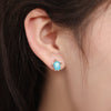 Small Fresh Alloy Turtle Pattern Electroplated Earrings For Women