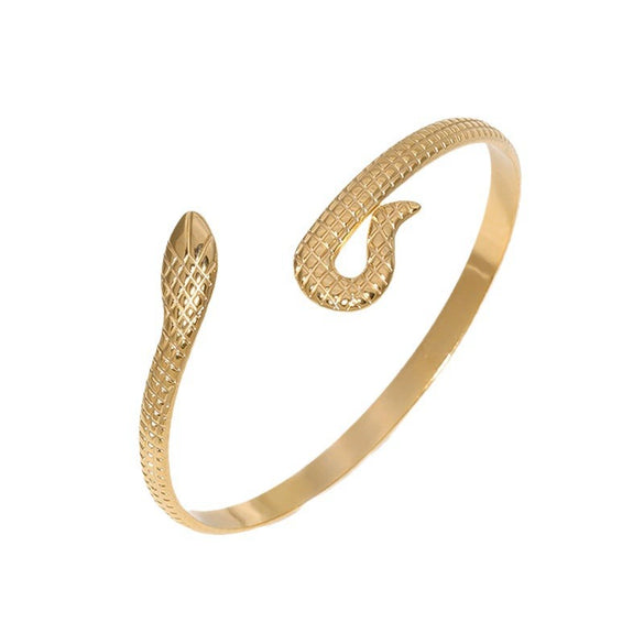 Snakeshaped Titanium Steel And Stainless Steel Bracelet 18K Goldplated Electroplated