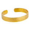 Stainless Steel And Gold Casual Open Beating Pattern Asymmetrical Snakeshaped Women's Bracelet With Electroplating