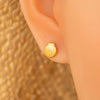 Stainless Steel Animal And Zodiac Shape Electroplated Earrings