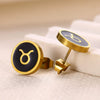 Stainless Steel Constellation Electroplated Minimalist Unisex Earrings