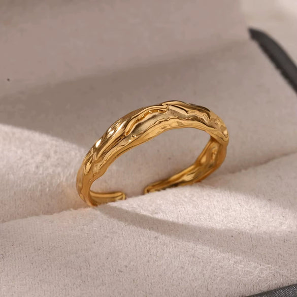 Stainless Steel Crown Ring Electroplating Niche Design Allmatch Opening Adjustable Couple Ring