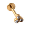 Stainless Steel Electroplated Dot Inner Tooth Lip Nails Straight Pole Sunflower Ear Bone Nail Earrings