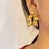Stainless Steel Electroplated Fivepointed Star And Heart Shape Earrings Couple Style Niche Ins Design