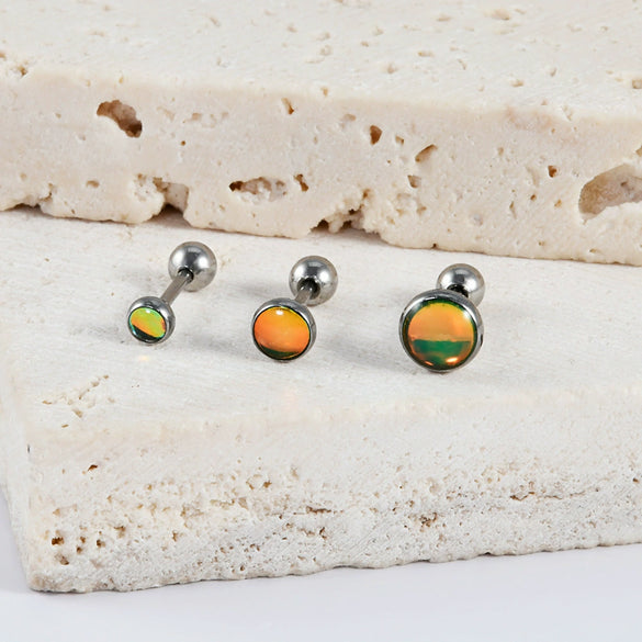 Stainless Steel Electroplated Geometric Minimalist Unisex Earrings