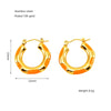 316L Stainless Steel Enamel Drop Glaze Geometric Electroplated Earrings For Women