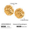 Stainless Steel Geometric Chubby Earrings For Women Electroplated