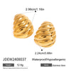 Stainless Steel Geometric Chubby Earrings For Women Electroplated