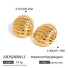 Stainless Steel Geometric Chubby Earrings For Women Electroplated