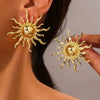 Stainless Steel Geometric Earrings For Women Electroplated Light Luxury Jewelry