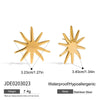 Stainless Steel Geometric Earrings For Women Electroplated Light Luxury Style