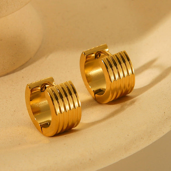 Stainless Steel Geometric Electroplated Women's Earrings