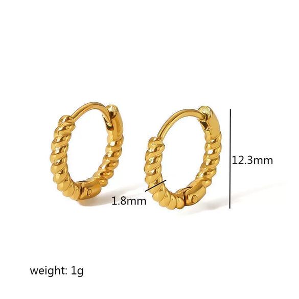 Stainless Steel Geometric Electroplating Women's Earrings