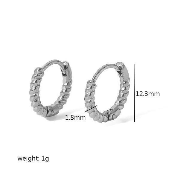 Stainless Steel Geometric Electroplating Women's Earrings