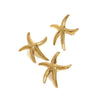 Stainless Steel Geometric Marine Scenery Starfish Animal Style Electroplated Women's Earrings