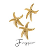 Stainless Steel Geometric Marine Scenery Starfish Animal Style Electroplated Women's Earrings
