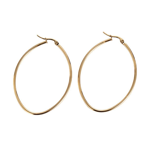 Stainless Steel Geometric Oval Women's Earrings With Electroplating