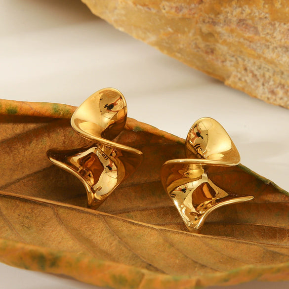 Stainless Steel Geometric Rotary Earrings For Women