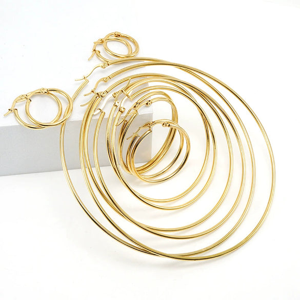 316L Stainless Steel Geometric Round Buckle Earrings For Women
